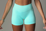 Elevate Shorts 6" Mint